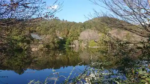 龍安寺の景色