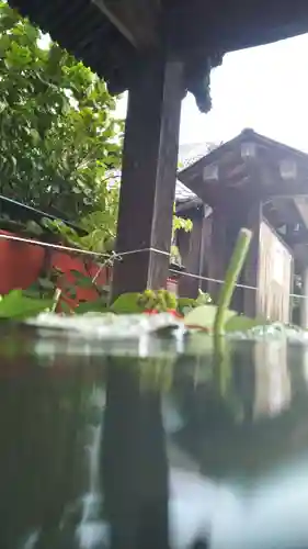 前玉神社のその他建物