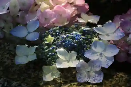 神炊館神社 ⁂奥州須賀川総鎮守⁂の手水舎