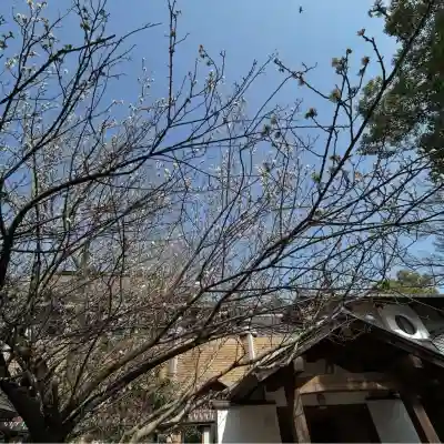 長楽寺の{uncategorized: "未分類", other: "その他", undefined: "問題あり", building: "その他建物", grave: "お墓", sacred_gate: "鳥居", guardian: "狛犬", statue: "像", buddha: "仏像", history: "歴史", nature: "自然", garden: "庭園", animal: "動物", pagoda: "塔", temizu: "手水舎", mountain_gate: "山門・神門", sanctuary: "本殿・本堂", subordinate: "末社・摂社", art: "芸術", scenery: "景色", jizo: "地蔵", ema: "絵馬", goshuin: "御朱印", omikuji: "おみくじ", items: "授与品その他", amulet: "お守り", goshuincho: "御朱印帳", eats: "食事", festival: "お祭り", votive_dance: "神楽", shichigosan: "七五三参", wedding: "結婚式", experience: "体験その他", initially: "初詣", around: "周辺", anti_infection: "感染症対策"}