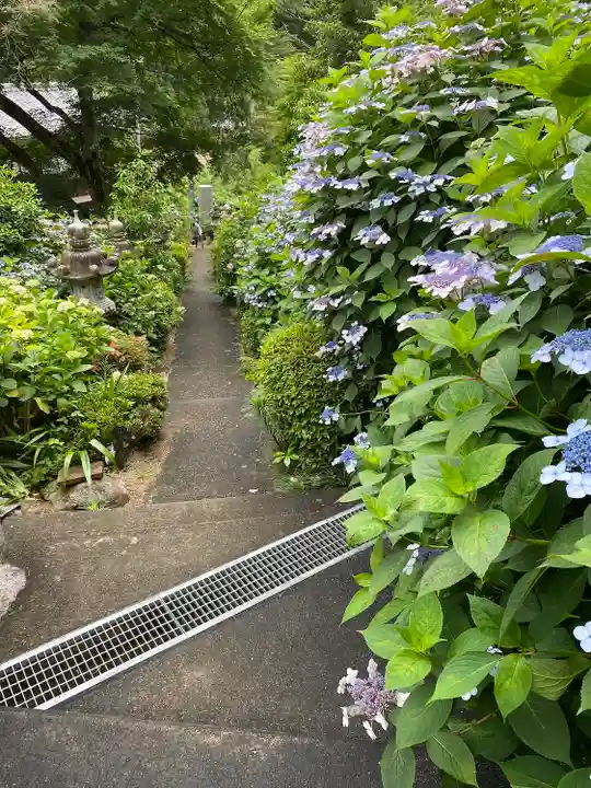 西法院(岡山県)