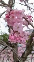 勧修寺(京都府)