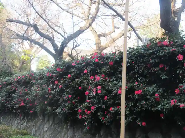 密藏院(東京都)