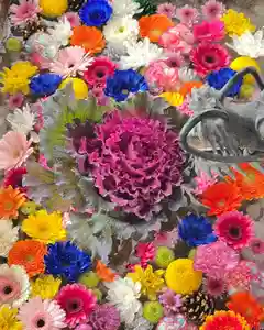 札幌諏訪神社の手水舎(2021年12月29日(水) 14時00分06秒投稿)