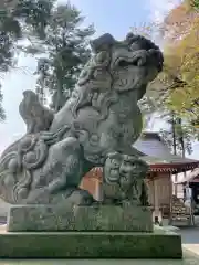 糀谷八幡宮の狛犬