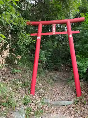 空幣稲荷大明神の鳥居