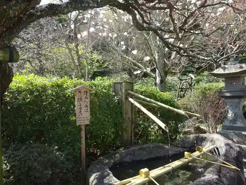 長谷寺(神奈川県)