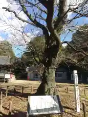 長柄神社(群馬県)