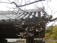 浄光明寺の自然