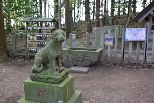 宝登山神社の狛犬