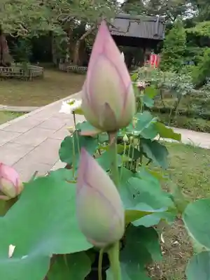 金乘院(千葉県)