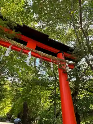 宇治上神社の鳥居