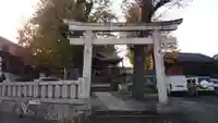 滝野川八幡神社の鳥居