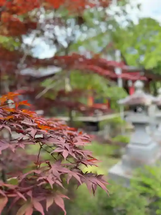 山中諏訪神社(山梨県)