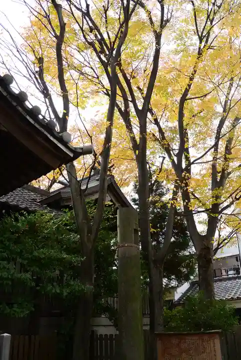 日枝大神社(神奈川県)