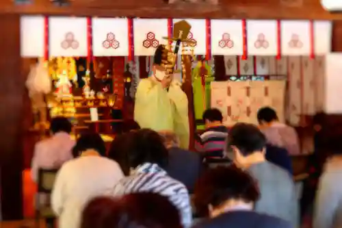 三津厳島神社の体験その他