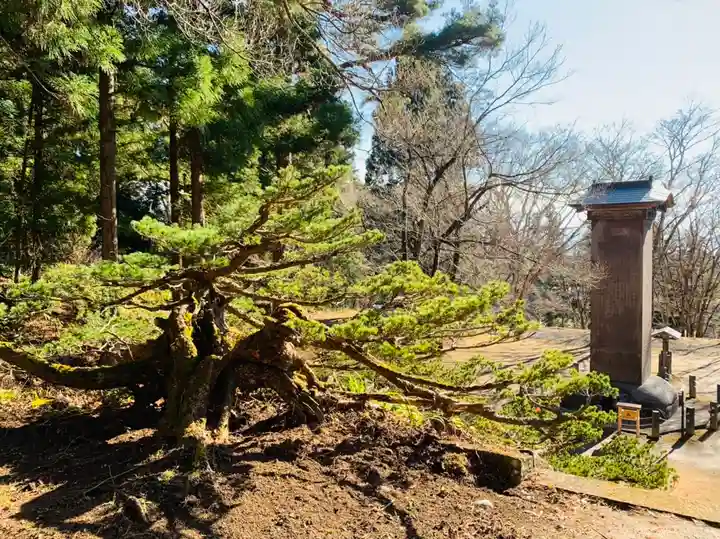 土津神社|こどもと出世の神さまの庭園