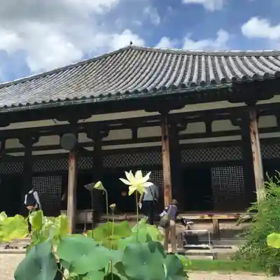 元興寺の本殿・本堂