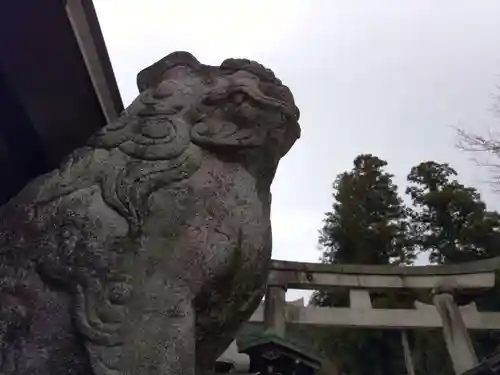 伊奈波神社の狛犬