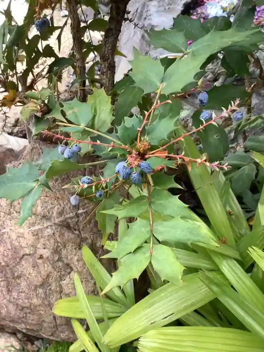 三輪神社の自然
