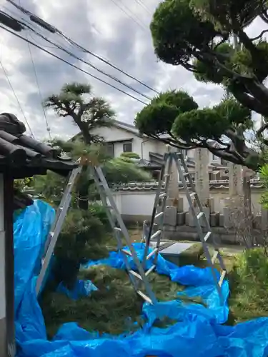 福田寺の庭園