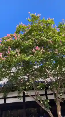 佛光寺(京都府)