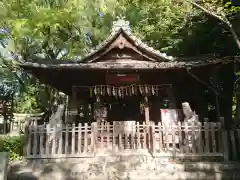 白山神社（大須白山神社）の本殿