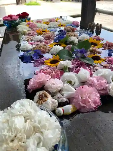 前玉神社の手水