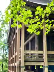 小菅神社奥社の建物その他