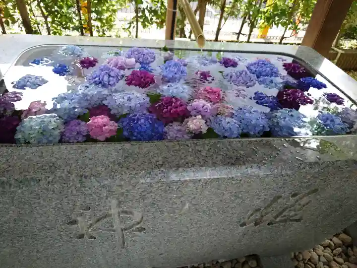 桜神宮(東京都)