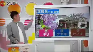 津観音(三重県)(2023年04月27日(木) 07時15分49秒投稿)