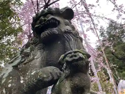 豊景神社の狛犬