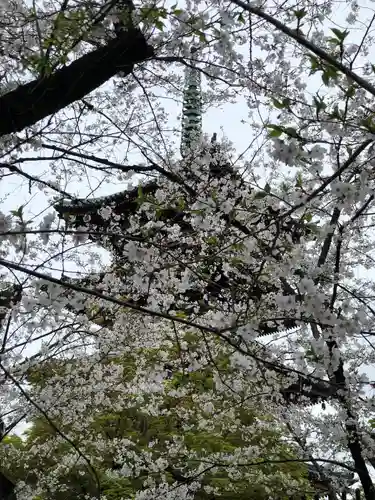 上野東照宮(東京都)