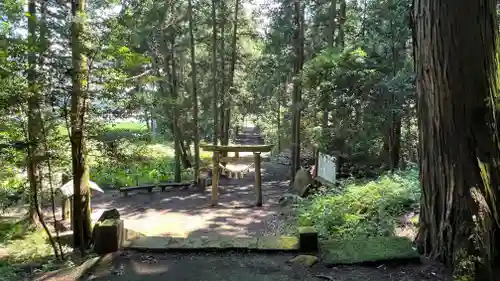 玉藻稲荷神社の周辺