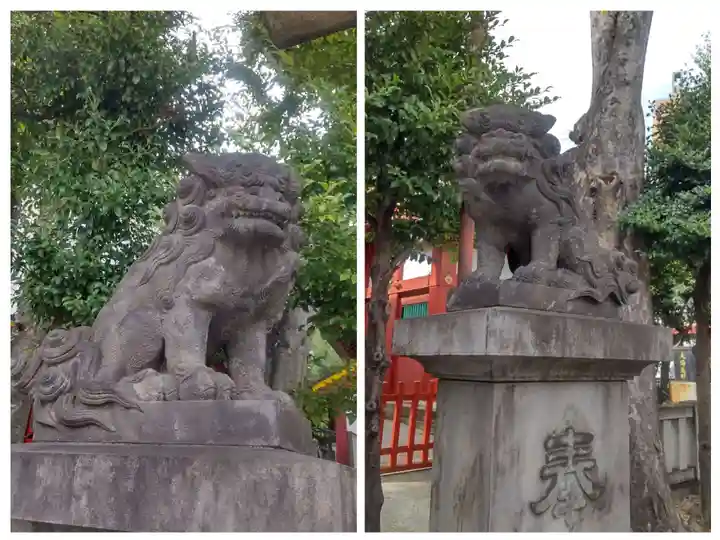 神田神社(神田明神)の狛犬