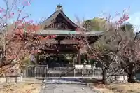 新日吉神宮(京都府)