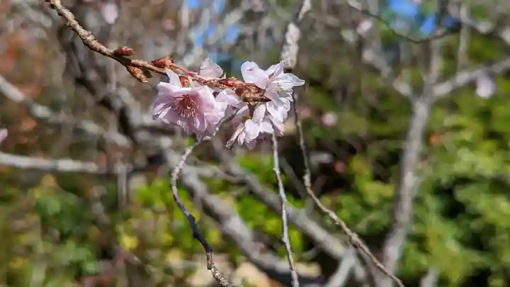 実光院(京都府)
