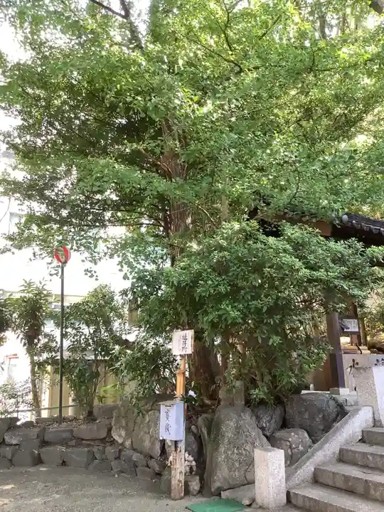 蝮ヶ池八幡宮の自然