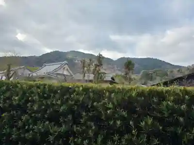 安立寺(京都府)