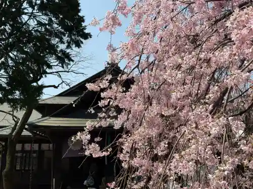 猿田彦神社(東京都)