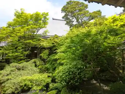 禅林寺(永観堂)(京都府)