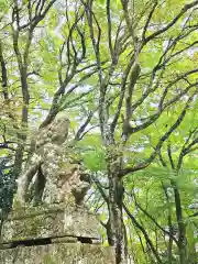 鰐淵寺(島根県)