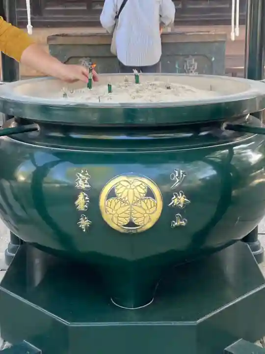 達磨寺の{uncategorized: "未分類", other: "その他", undefined: "問題あり", building: "その他建物", grave: "お墓", sacred_gate: "鳥居", guardian: "狛犬", statue: "像", buddha: "仏像", history: "歴史", nature: "自然", garden: "庭園", animal: "動物", pagoda: "塔", temizu: "手水舎", mountain_gate: "山門・神門", sanctuary: "本殿・本堂", subordinate: "末社・摂社", art: "芸術", scenery: "景色", jizo: "地蔵", ema: "絵馬", goshuin: "御朱印", omikuji: "おみくじ", items: "授与品その他", amulet: "お守り", goshuincho: "御朱印帳", eats: "食事", festival: "お祭り", votive_dance: "神楽", shichigosan: "七五三参", wedding: "結婚式", experience: "体験その他", initially: "初詣", around: "周辺", anti_infection: "感染症対策"}