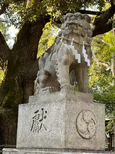 雪ケ谷八幡神社の狛犬