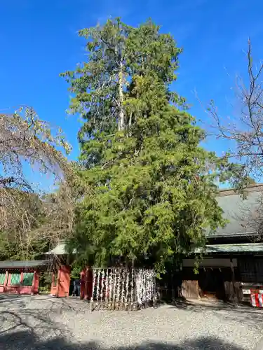 富士山本宮浅間大社のその他建物