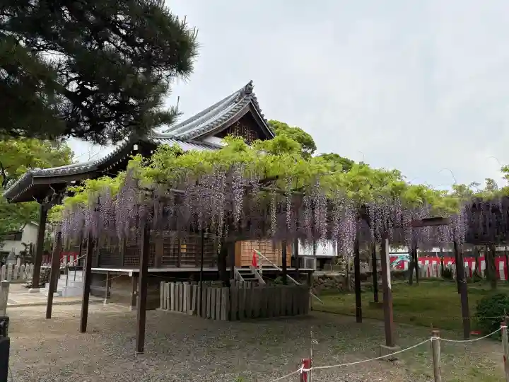 葛井寺の{uncategorized: "未分類", other: "その他", undefined: "問題あり", building: "その他建物", grave: "お墓", sacred_gate: "鳥居", guardian: "狛犬", statue: "像", buddha: "仏像", history: "歴史", nature: "自然", garden: "庭園", animal: "動物", pagoda: "塔", temizu: "手水舎", mountain_gate: "山門・神門", sanctuary: "本殿・本堂", subordinate: "末社・摂社", art: "芸術", scenery: "景色", jizo: "地蔵", ema: "絵馬", goshuin: "御朱印", omikuji: "おみくじ", items: "授与品その他", amulet: "お守り", goshuincho: "御朱印帳", eats: "食事", festival: "お祭り", votive_dance: "神楽", shichigosan: "七五三参", wedding: "結婚式", experience: "体験その他", initially: "初詣", around: "周辺", anti_infection: "感染症対策"}