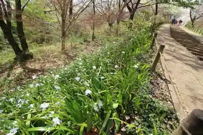 弘法山 大師堂(神奈川県)