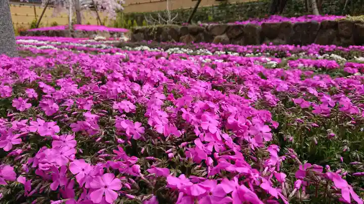 寿量山 速成寺の庭園
