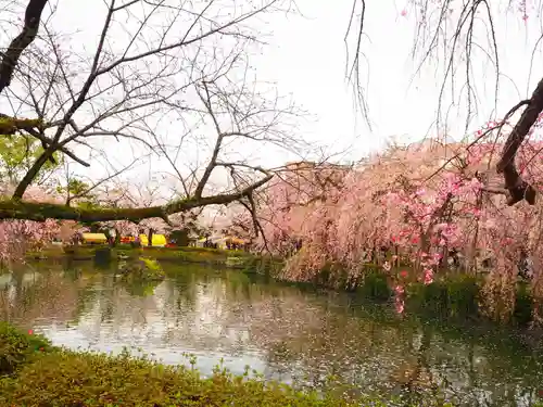 三嶋大社の庭園