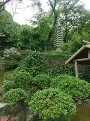 理智院の建物その他